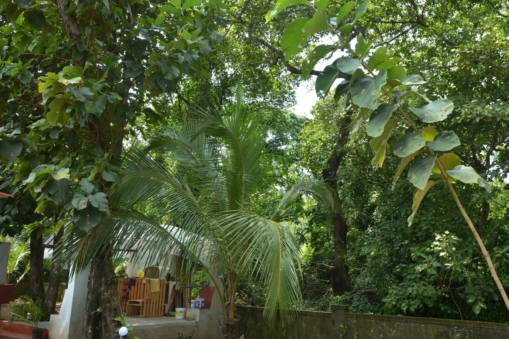Folklore Hostel Goa Vagator Ngoại thất bức ảnh